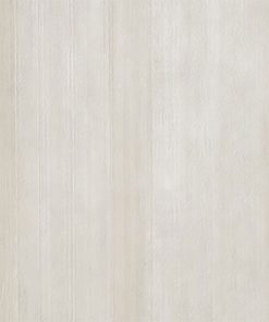 cemento beige Cassero