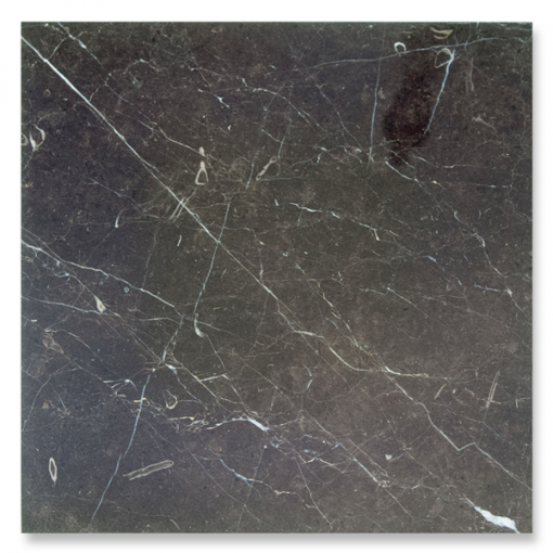 12x12 St Laurent Polished Marble